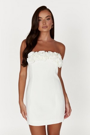 Women's Meshki Brooks Rose Mini Dress White Australia | E9N-1251