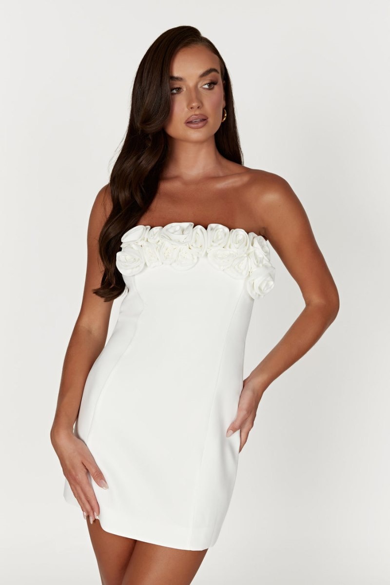 Women's Meshki Brooks Rose Mini Dress White Australia | E9N-1251